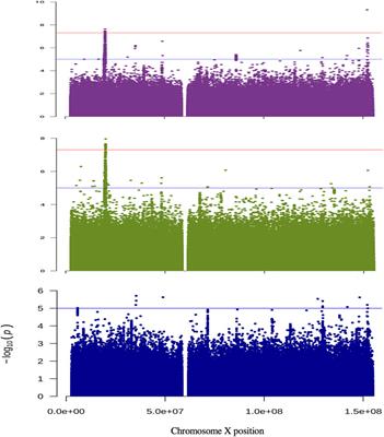 The genetic contribution of the X chromosome in age-related hearing loss